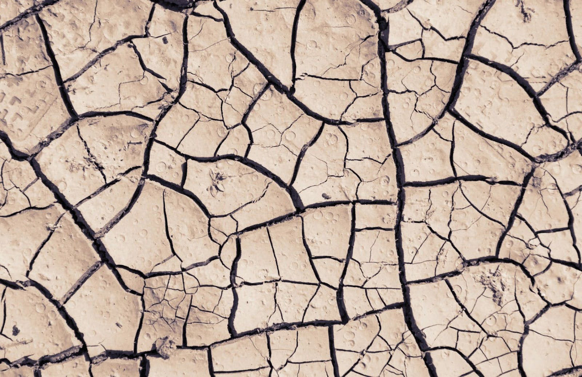 Dry, cracked surface